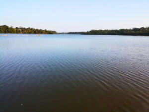 A rippling lake beneath a vivid blue sky with distant green trees