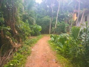 A gravel road