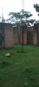 Unfinished brick walls with steel rods protruding, surrounded by grassy area and trees, with a large rock nearby.