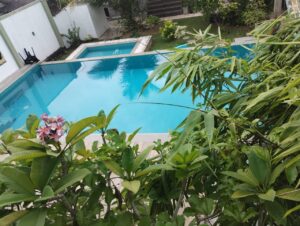 A blue pool surrounded by lush greenery, with a smaller hot tub, steps, and various plants in a garden setting.
