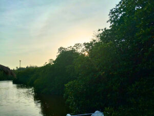 Sunset over a calm river with lush green trees and distant skyline.