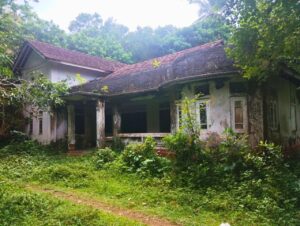 Old abandoned house with tiled roof, surrounded by dense vegetation, showing decay and broken windows, with a dirt path leading to the entrance.