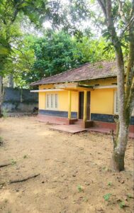 Yellow house with a tiled roof, surrounded by dense trees and a sandy yard with scattered leaves and twigs.