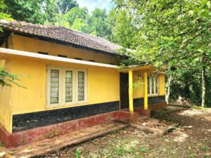 Yellow house with a tiled roof, surrounded by lush green trees and vegetation, with a concrete porch and scattered leaves on the ground.
