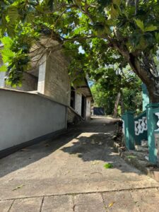 Concrete pathway beside an unfinished brick building, shaded by large trees with scattered leaves on the ground.